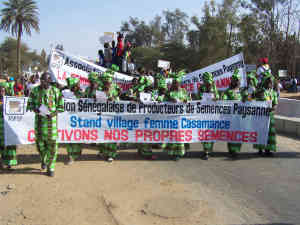 Senegalesische Bäuerinnen demonstrieren für das Recht auf eigenes Saatgut